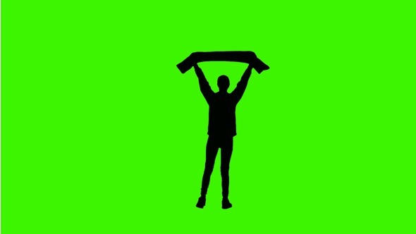 590x332 Football Fans On Green Screen By Edvideo74 Videohive