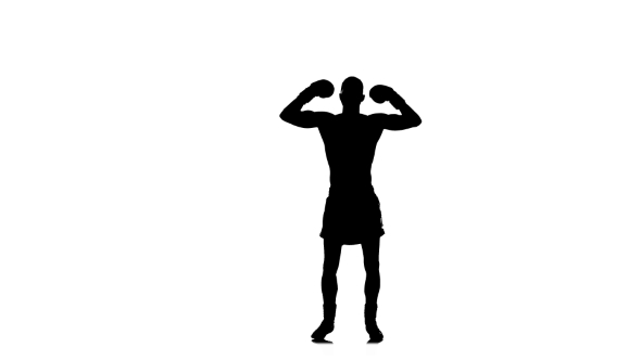590x332 Boxer Winner Champion Welcomes Its Fans. Black Silhouette By