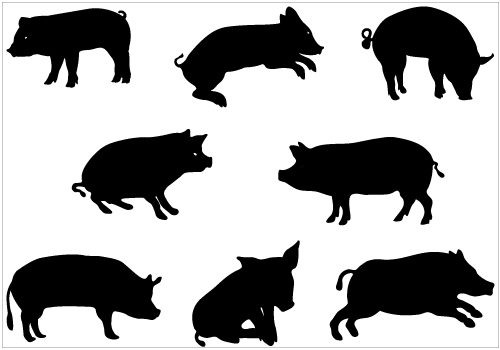 500x350 Pig Clip Art