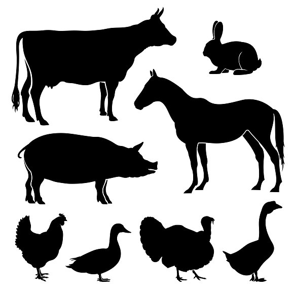 580x580 Farm, Farmyard Animals Silhouettes Animal Silhouette, Silhouette