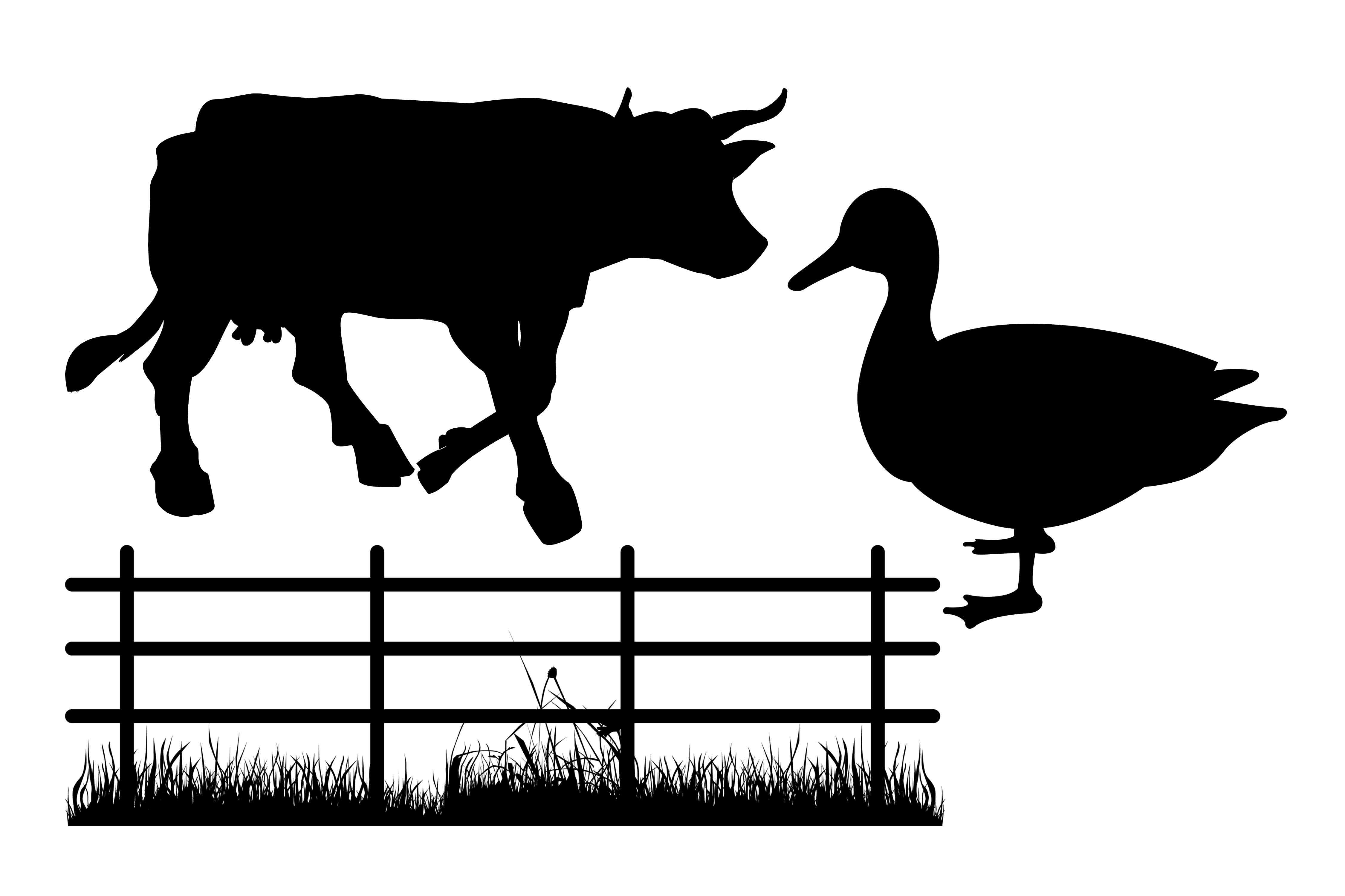 4500x3000 Farm Animal Silhouette Png Svg Eps Dxf Design Bundles