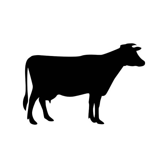 570x570 Cow Farm Animals Graphics Svg Dxf Eps Png Cdr Ai Pdf Vector Art