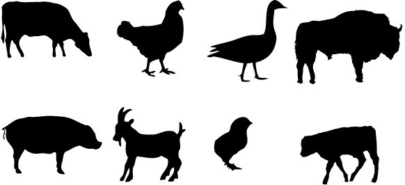 582x266 Farm Animals Silhouette Free Vector Download (12,064 Free Vector