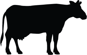 280x177 Cow Silhouette Silhouette Of Cow