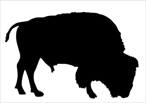 501x352 Bison Silhouette Vector Comes In Handy Which Is Ideal For Animal