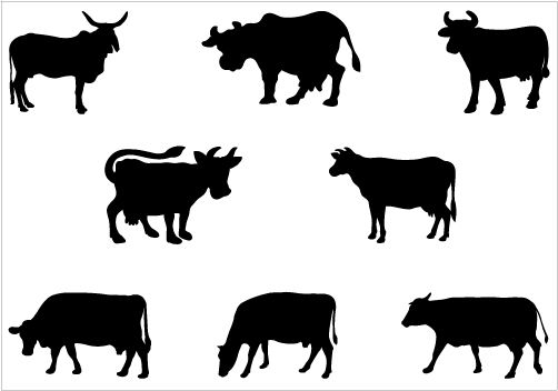 502x352 Cow Silhouette Vector