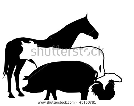 450x355 Farm Animals With Babies Royalty Free Cliparts, Vectors, And Stock