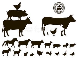 323x240 Vector Farm Animals Silhouettes Isolated On White Silhouette