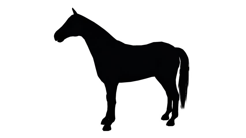 852x480 Black Horse Foal Pet,farm Animal Wild Life Silhouette Profile