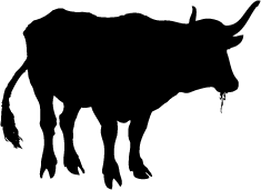 235x171 Bull Silhouette Silhouette Of Bull