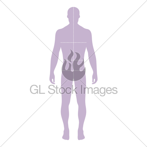 500x500 Fashion Man Template Figure Silhouette With Marked Body's Gl