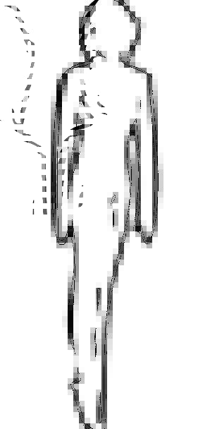 298x608 Lady, Fashion, Beauty, Figure, Number, Woman, Walking, Silhouette