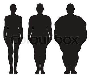 320x278 Fat Girl With Fast Food In Her Body Stock Vector Colourbox