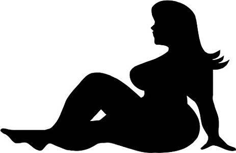 463x301 Mud Flap Fat Girl Funny Vinyl Decal Sticker 6 Wide