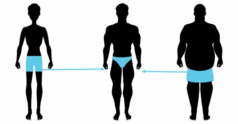 798x418 How You Can Be Skinny And Fat