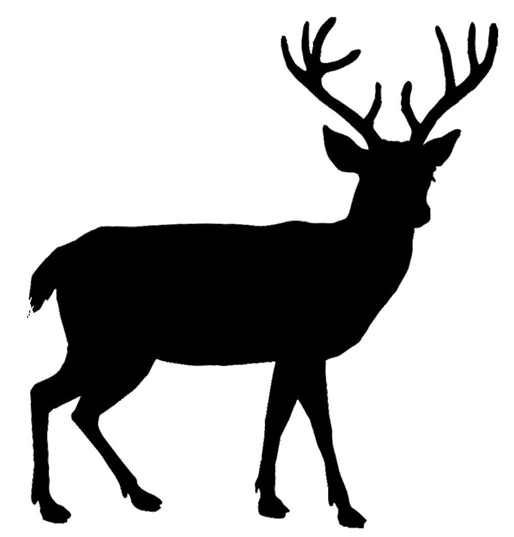 1004x1049 Stag Clipart Simple Pencil And In Color At Silhouettes