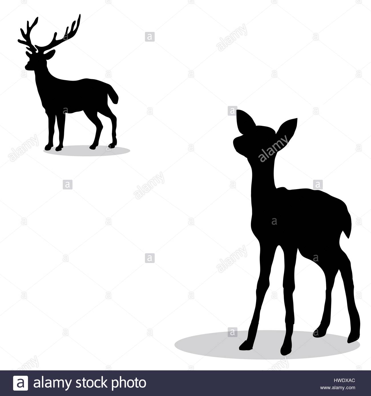 1300x1390 Deer Family Cut Out Stock Images Amp Pictures