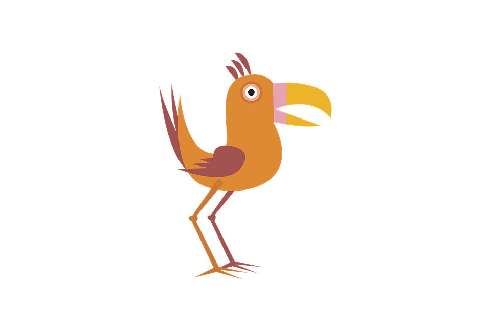 960x650 Free Photo Wing Icon Fly Bird Silhouette Wildlife Feather