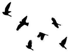 236x178 Flying Birds Tattoo Clipart