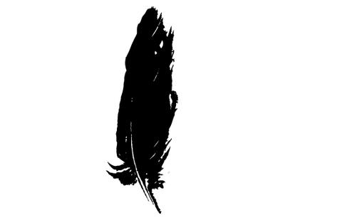 480x309 Feather Silhouette Vector Silhouettes Vector