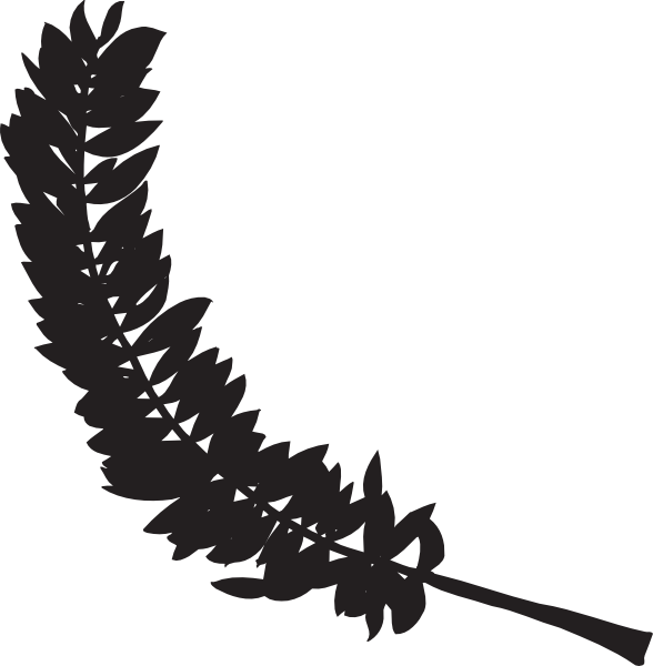 588x600 Feather Silhouette Clip Art
