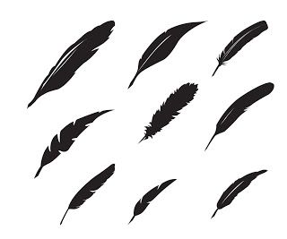 320x267 Kldezign Svg Feathers Silhouette Cricut, Svg