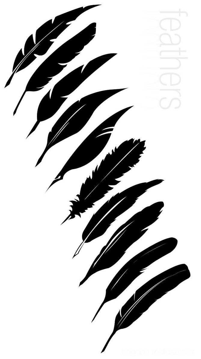 669x1195 Several Types Of Vector Feathers I'Ve Made. Hurrah! Feathers! Edit