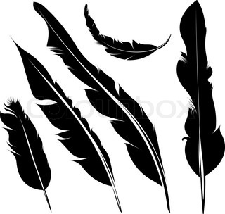 320x304 Blank Bird Feather Vector Shape Isolated On White Background