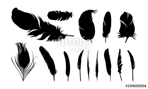 500x300 Set Of Various Of Feather Silhouette Vector Illustration Stock