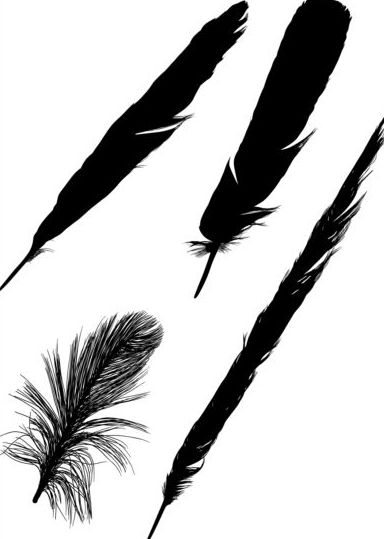 384x539 Feather Silhouette Vector Free