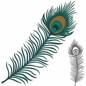 300x300 Silhouette Design Store Beautiful Peacock Feather Allison