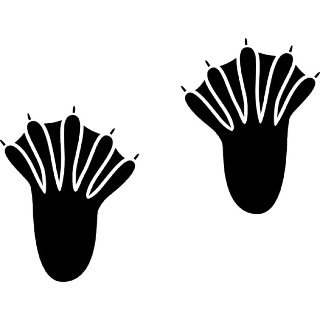 626x626 Webbed Feet Silhouette Icons Free Download