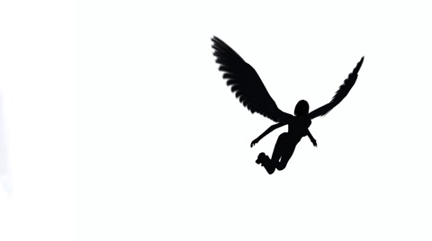 480x268 Female Angel Silhouette Flying Across A White Background ~ Video