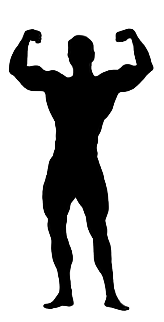 531x1043 Body Silhouettes
