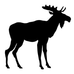 241x240 Search Photos Moose