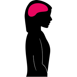 300x300 Female Silhouette With Brain Clipart, Cliparts Of Female