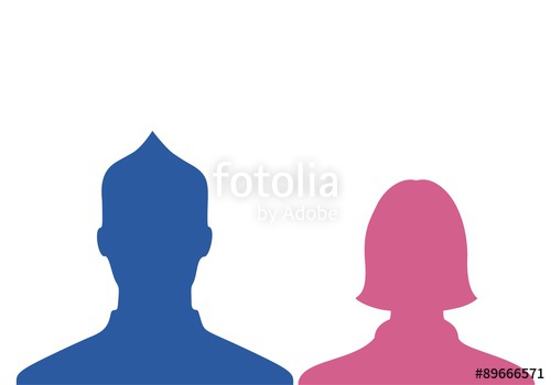 500x350 Male Amp Female Silhouette Profile Blue Pink Stock Image