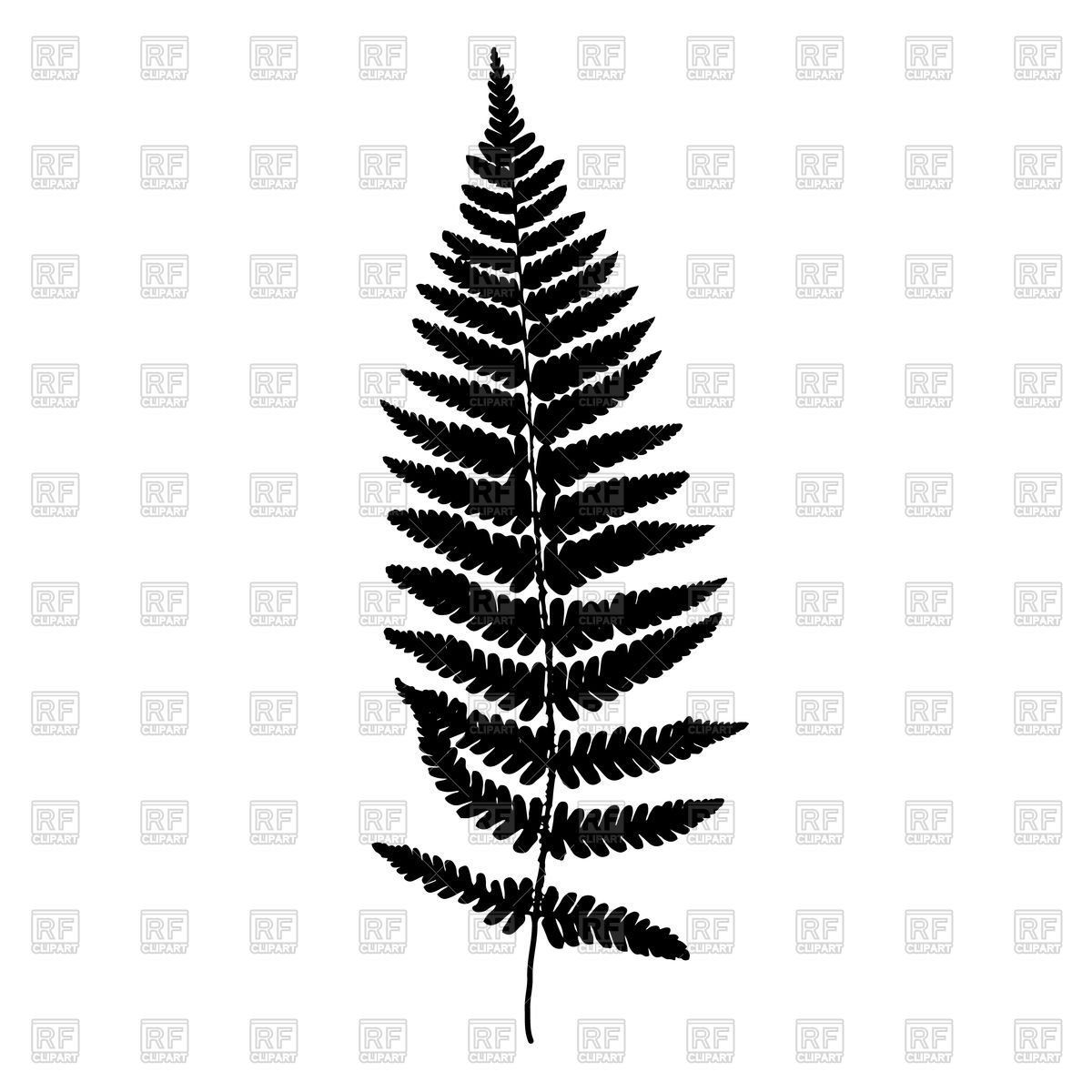 1200x1200 Fern Leaf Royalty Free Vector Clip Art Image