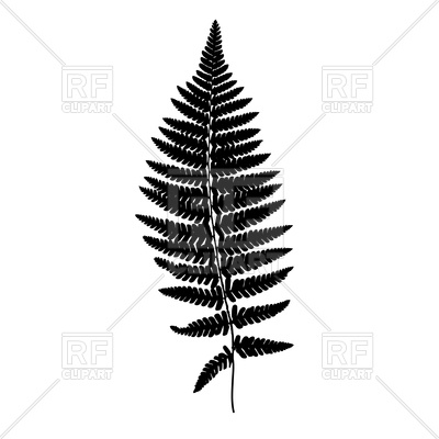 400x400 Fern Leaf Black Silhouette Royalty Free Vector Clip Art Image