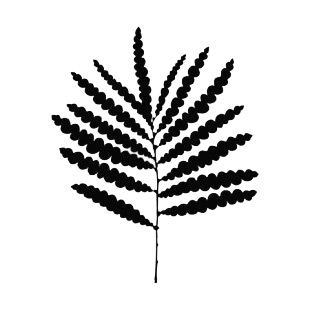 310x310 Fern Leaf Silhouette Plants Decals, Decal Sticker