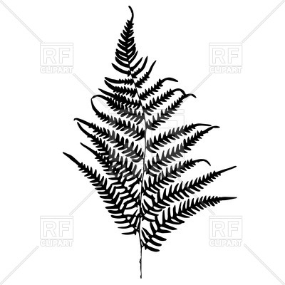 400x400 Fern Silhouette Royalty Free Vector Clip Art Image