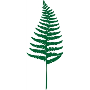 300x300 Silhouette Design Store