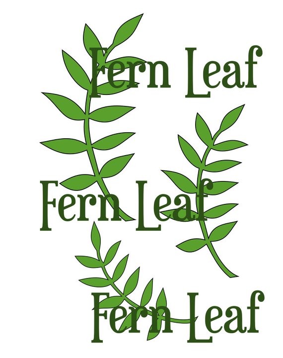 570x720 Fern Leaf Svg Cut File Leaf Template Paper Flower Templates