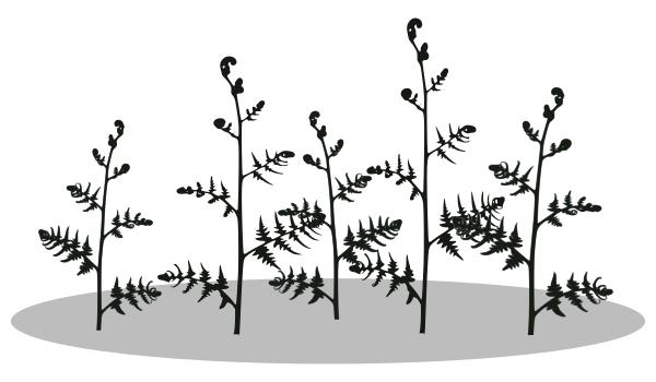 600x350 Fern Silhouette Clipart