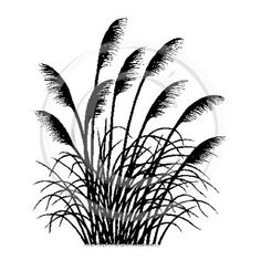 236x235 Ferns And Butterflies Silhouette Really Pretty Images