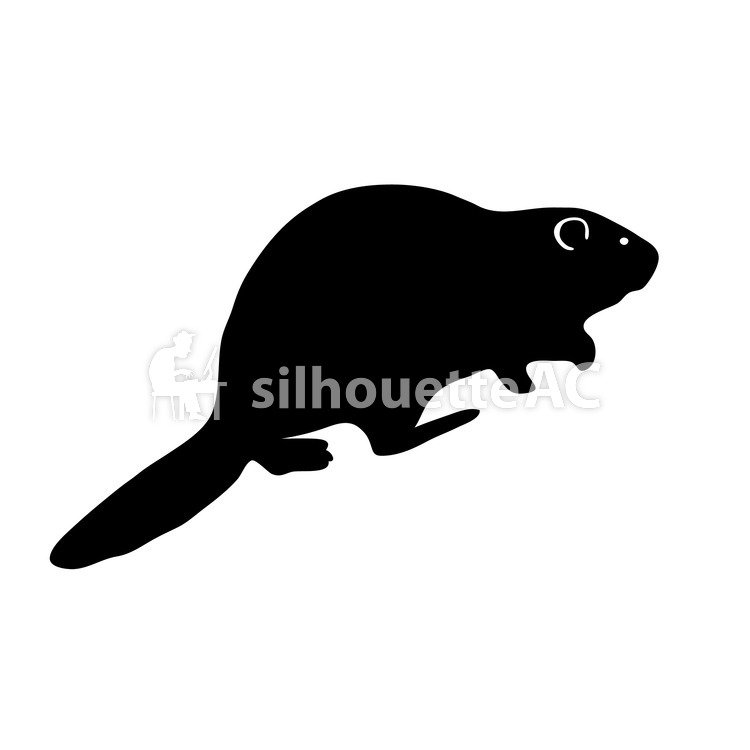 750x750 Free Silhouette Vector Mammals, Animal
