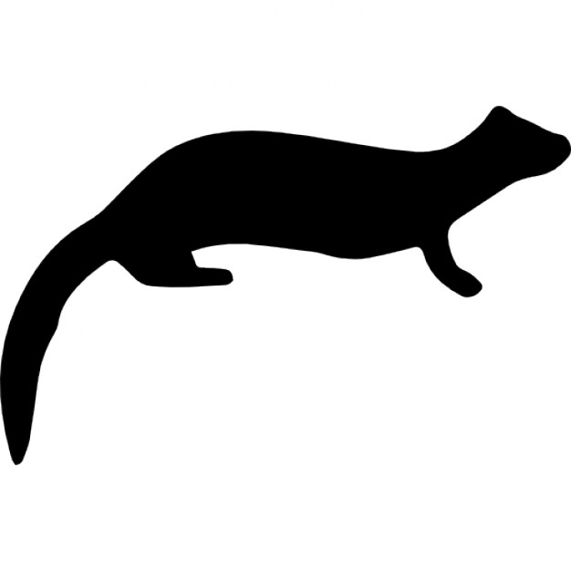 626x626 Mammal Ferret Shape Icons Free Download