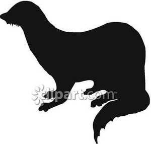 300x286 Silhouette Of A Ferret