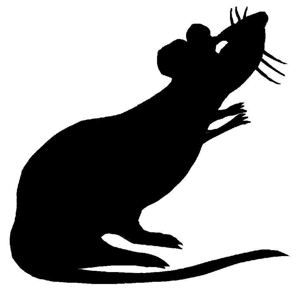 956x922 Rat Silhouette