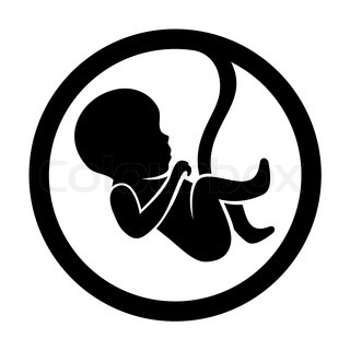 320x320 Fetus In A Womb Stock Vector Colourbox